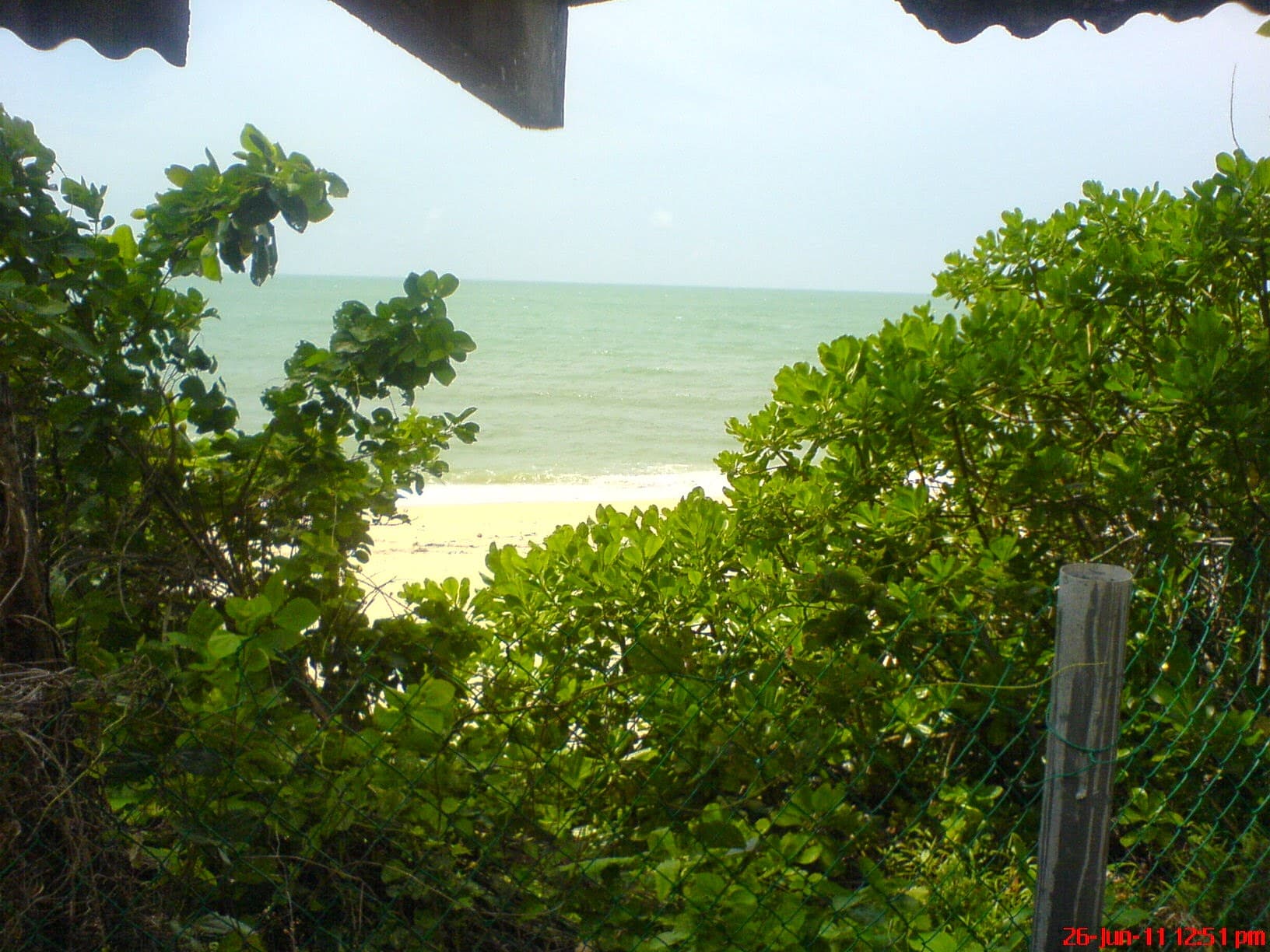 A view over the turquoise sea at Desaru from a green, vegetated clifftop