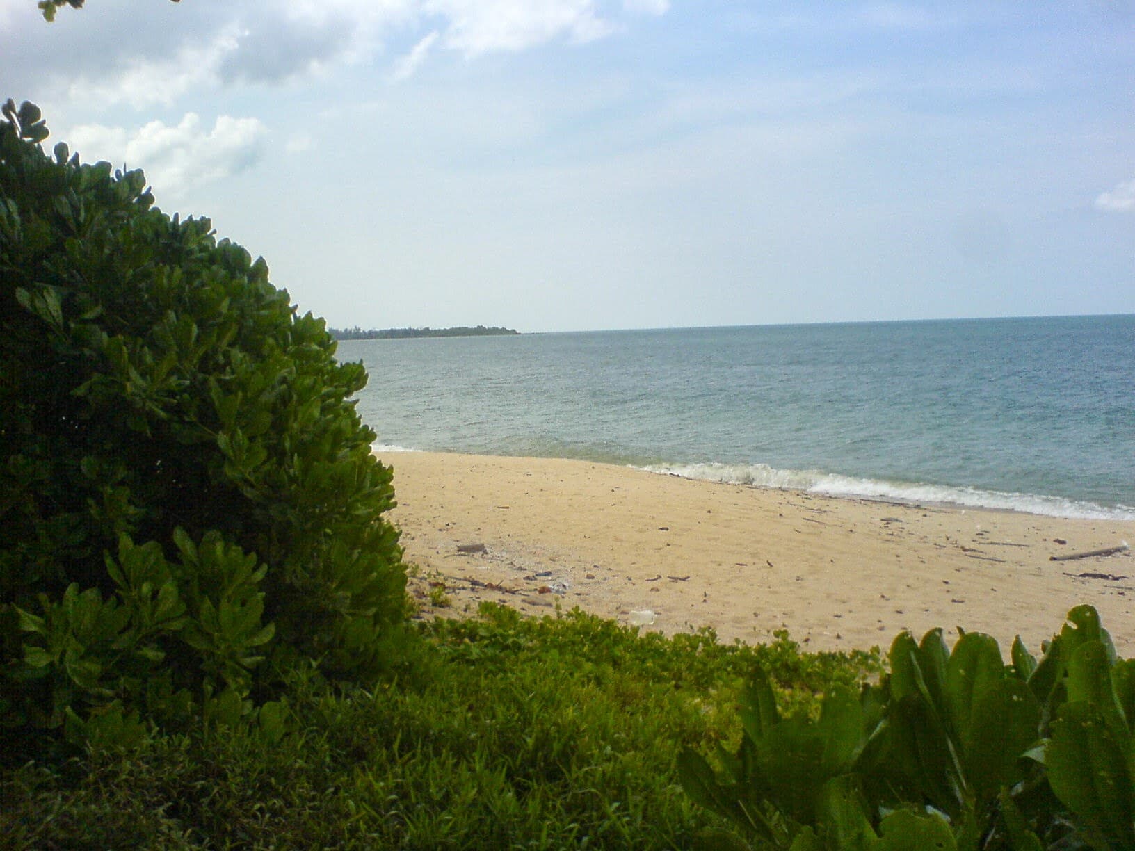 Pantai Desaru — a sandy beach fringed by coastal vegetation, the sea beyond